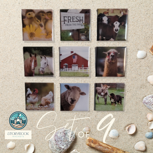 2" x 2" Custom Photo Magnets
